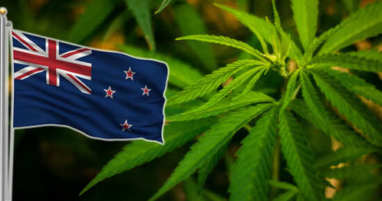 Nya Zealand cannabis flagga