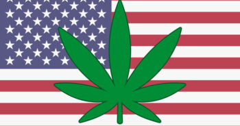 USA cannabis flagga