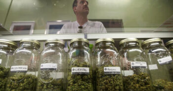 Glasburkar med cannabis