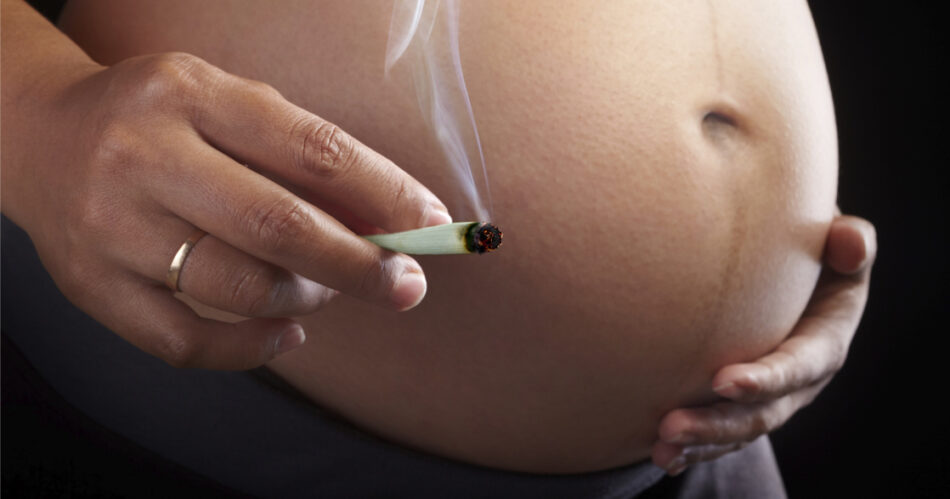 Gravid spliffrökare