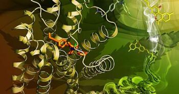 Cannabinoid