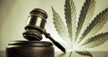 Marijuana omröstningar