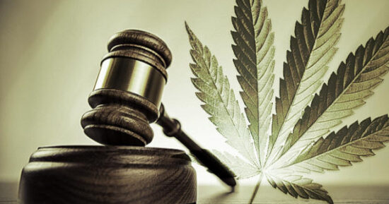 Marijuana omröstningar