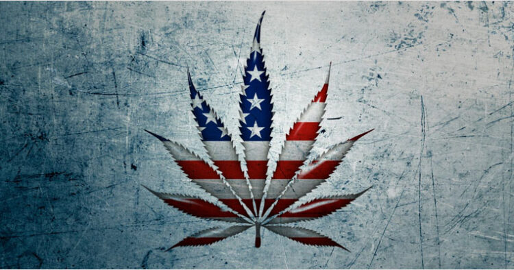 USA cannabis löv