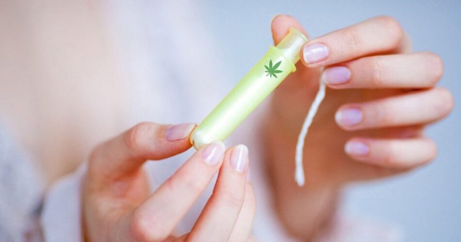 Cannabis tamponger