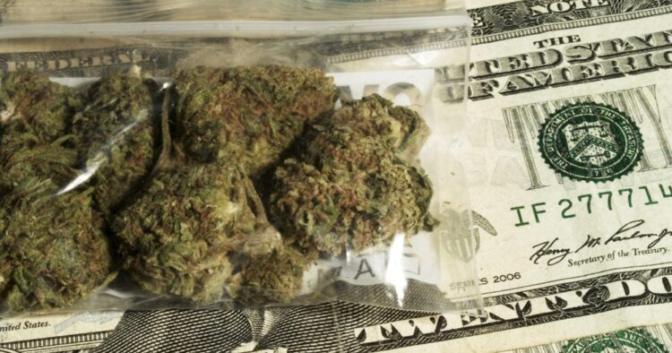 Marijuana skatt