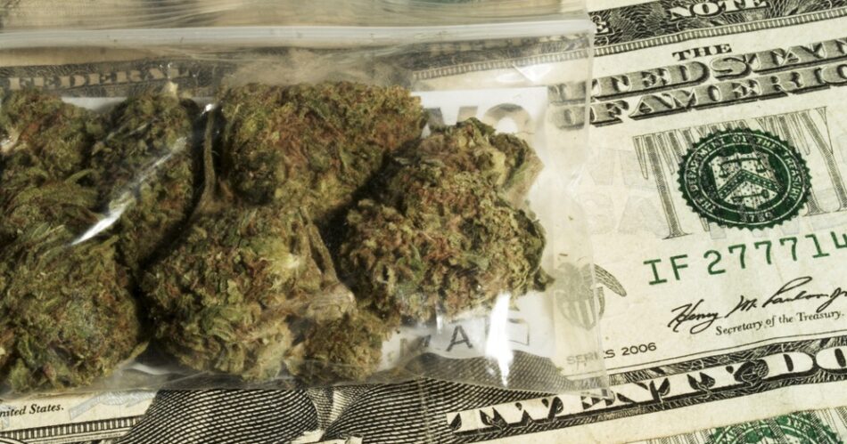 Marijuana skatt