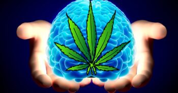 Marijuana hjärna