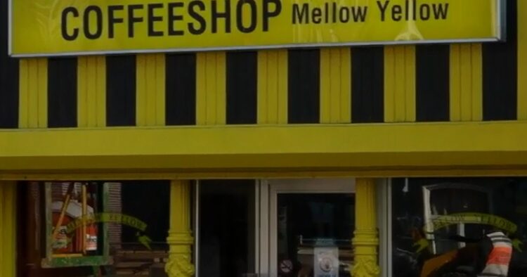Mellow Yellow