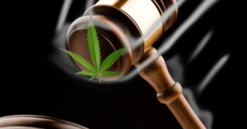Cannabis lagklubba