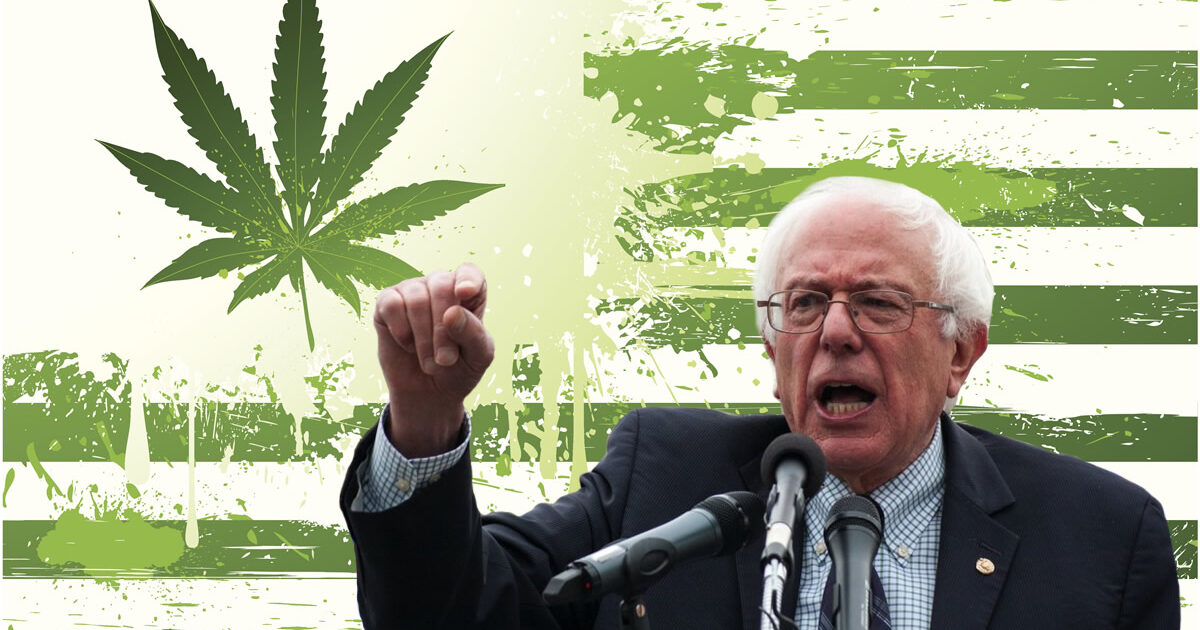 Bernie Sanders