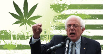 Bernie Sanders