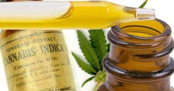 CBD-olja