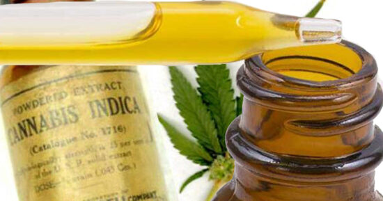 CBD-olja