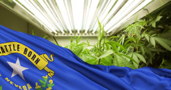Nevada flagga