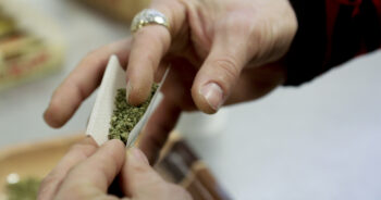 Cannabis rullning