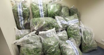 Cannabispåsar