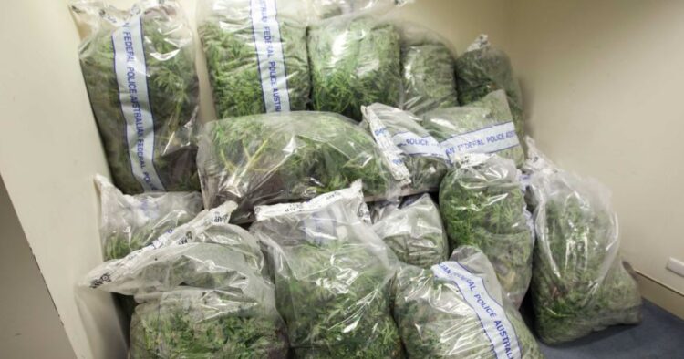 Cannabispåsar