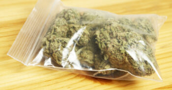 Cannabispåse