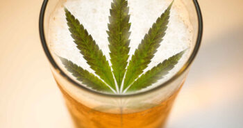 Alkohol vs Cannabis