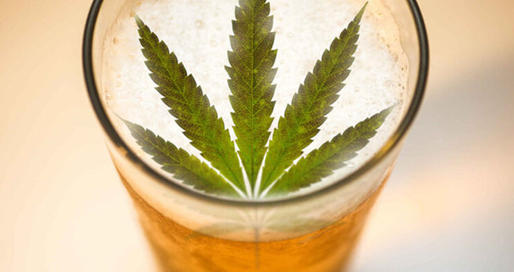 Alkohol vs Cannabis