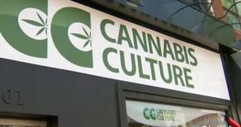 Cannabis Culture