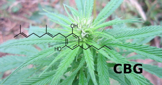 CBG