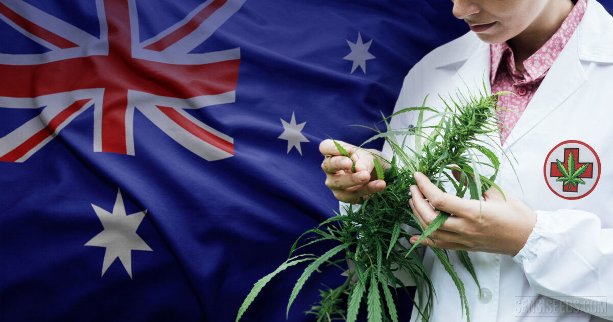 Medicinsk marijuana Australien
