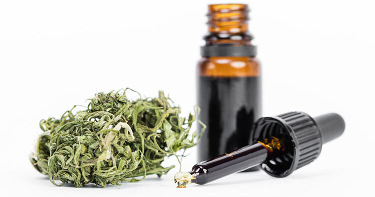 Cannabisolja