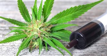 Cannabisolja