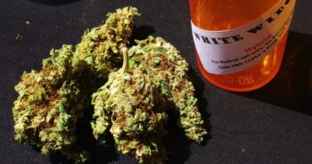 White Widow
