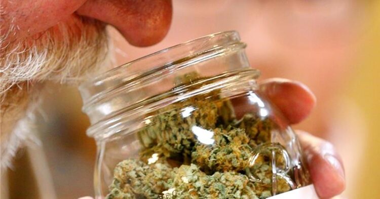 Cannabis i burk