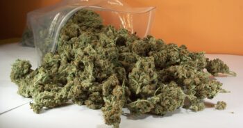 Påse med cannabis