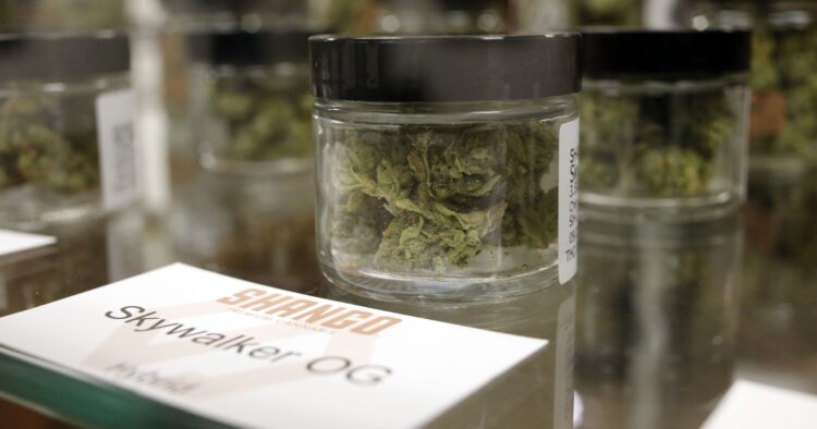 Cannabis buds