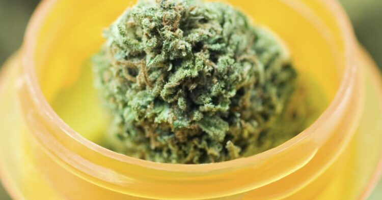 Medicinsk marijuana