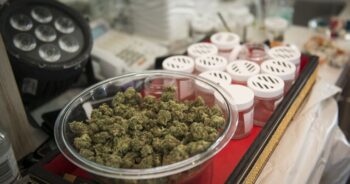 Medicinsk marijuana