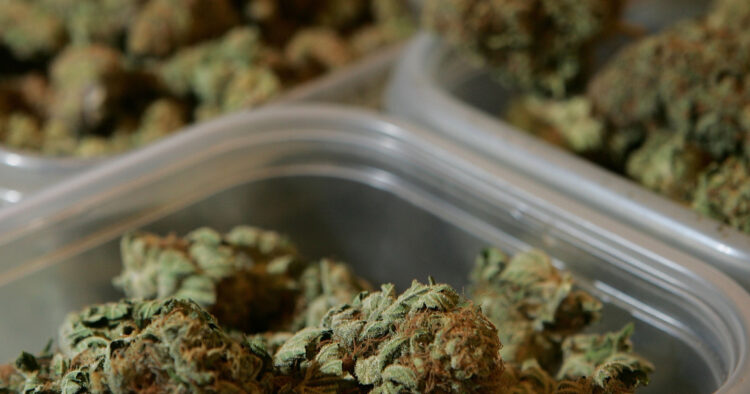 Medicinsk marijuana