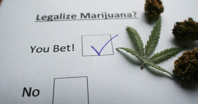 Legalisera marijuana