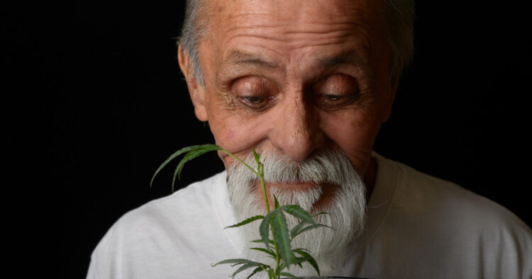 Bonsai gubbe