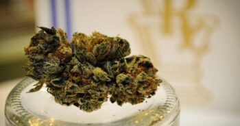 Medicinsk marijuana