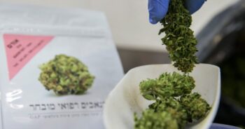 Medicinsk marijuana