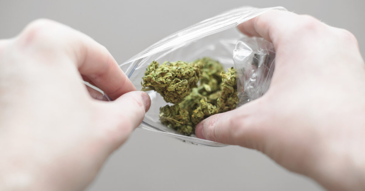 Cannabisbruk
