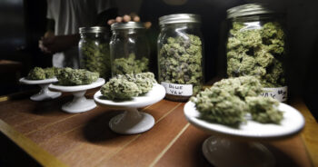 Marijuana