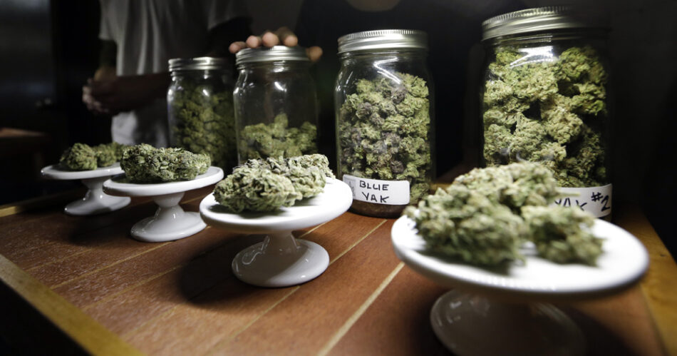 Marijuana