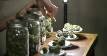 Marijuana