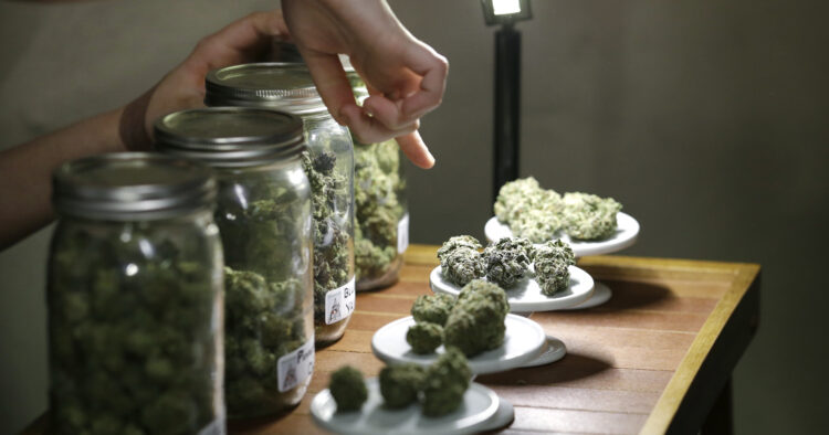 Marijuana
