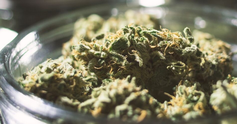 Marijuana