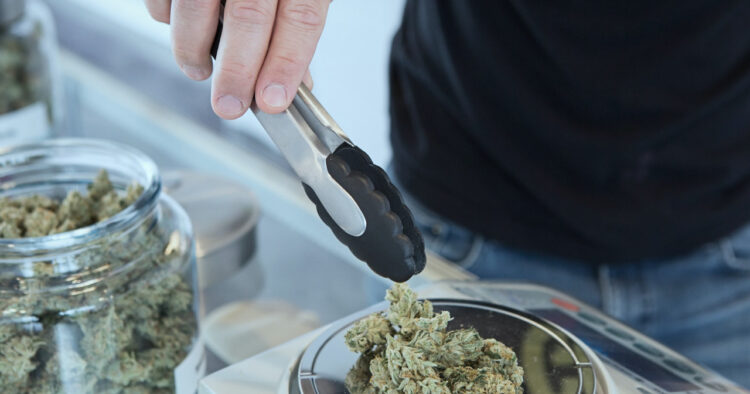 Marijuana