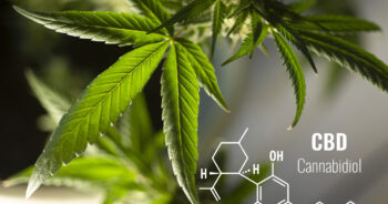CBD