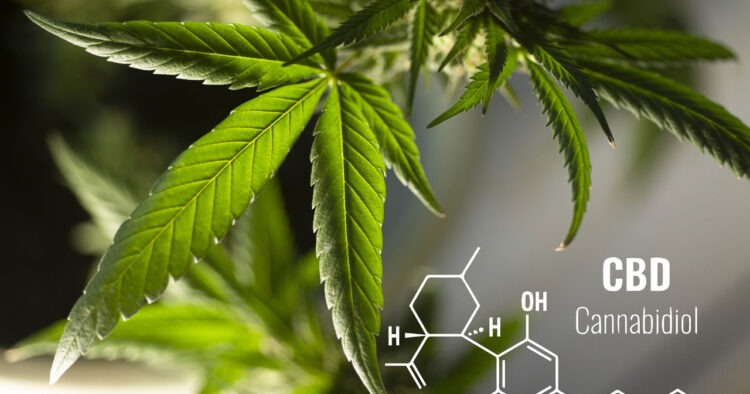 CBD